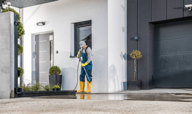 Best Historic Building Restoration  in Albany, CA